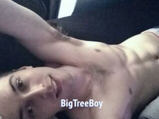 BigTreeBoy