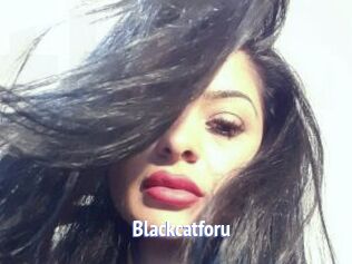 Blackcatforu