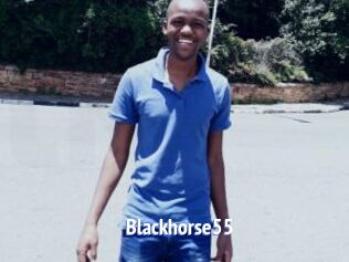 Blackhorse55