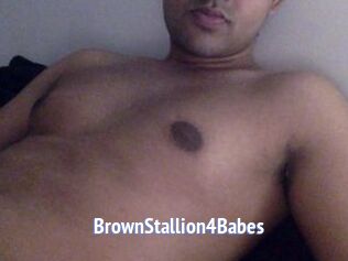 BrownStallion4Babes