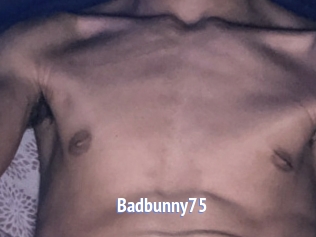 Badbunny75