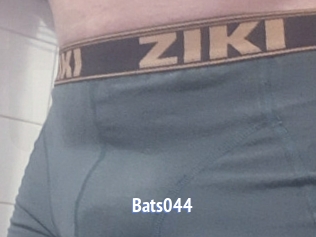 Bats044