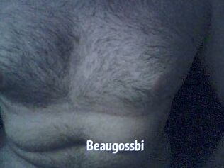 Beaugossbi