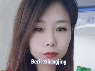Bericezhangjing