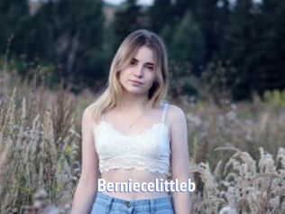 Berniecelittleb