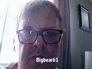 Bigbear61
