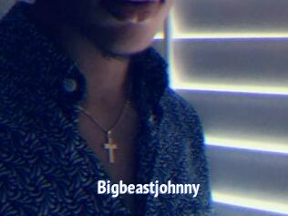 Bigbeastjohnny
