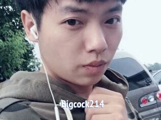 Bigcock214