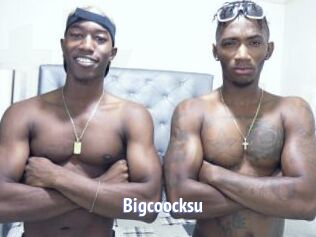 Bigcoocksu