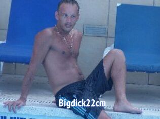 Bigdick22cm