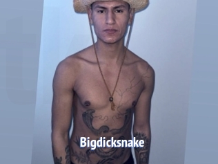 Bigdicksnake