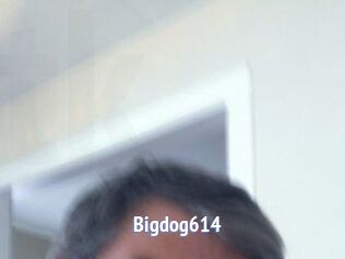 Bigdog614