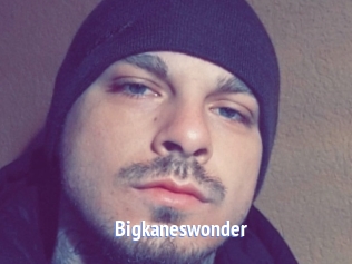 Bigkaneswonder