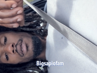 Bigsapiofam