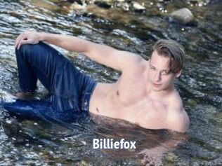 Billiefox