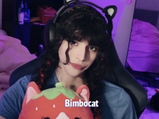 Bimbocat