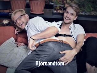 bjornandtom Telefon Kontakte