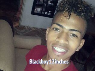 Blackboy12inches