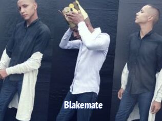 Blakemate