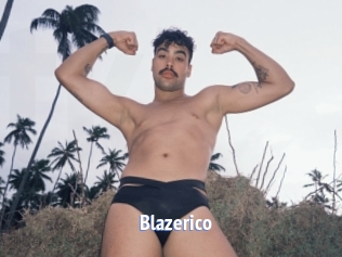 blazerico Telefon Kontakte