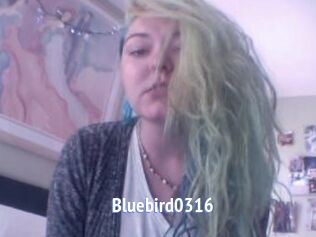 Bluebird0316