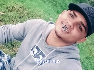 boycurious Telefon Kontakte