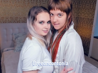Breeandantonia