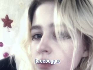 Breeboggus