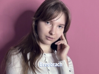 Breebrach
