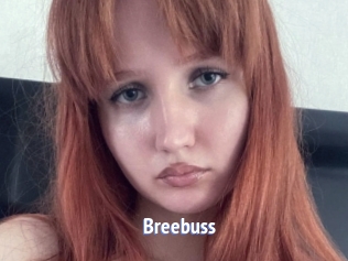Breebuss