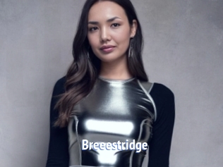 Breeestridge