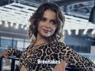 Breehakes