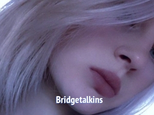 Bridgetalkins