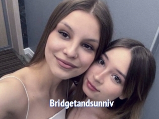 Bridgetandsunniv