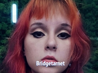 Bridgetarnet