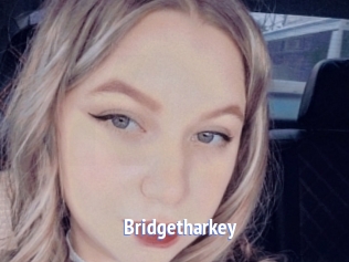 Bridgetharkey