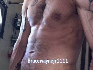 Brucewaynejr1111