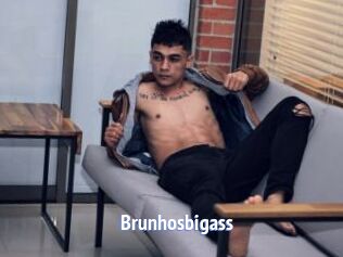 Brunhosbigass