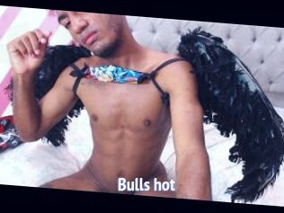 Bulls_hot