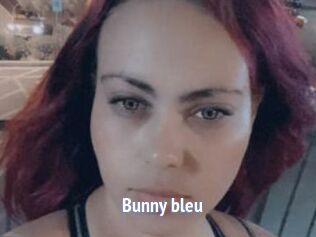 Bunny_bleu