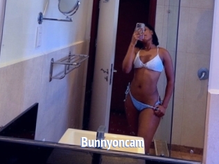 Bunnyoncam