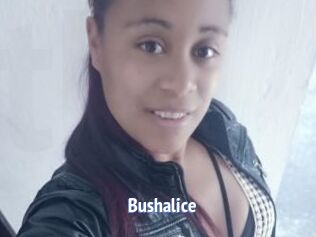 Bushalice