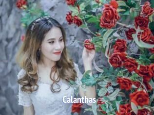 Calanthas