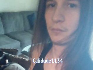 Calidude1134