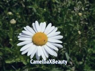Camellia_XBeauty
