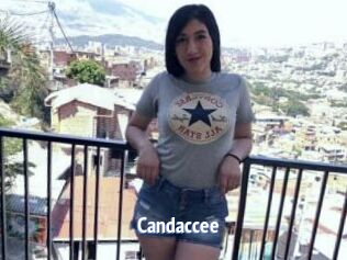 Candaccee