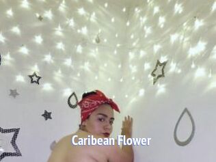 Caribean_Flower