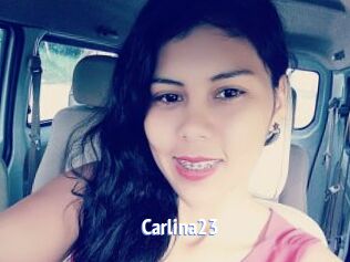 Carlina23