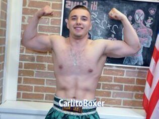 CarlitoBoxer