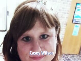 Casey_Wilson